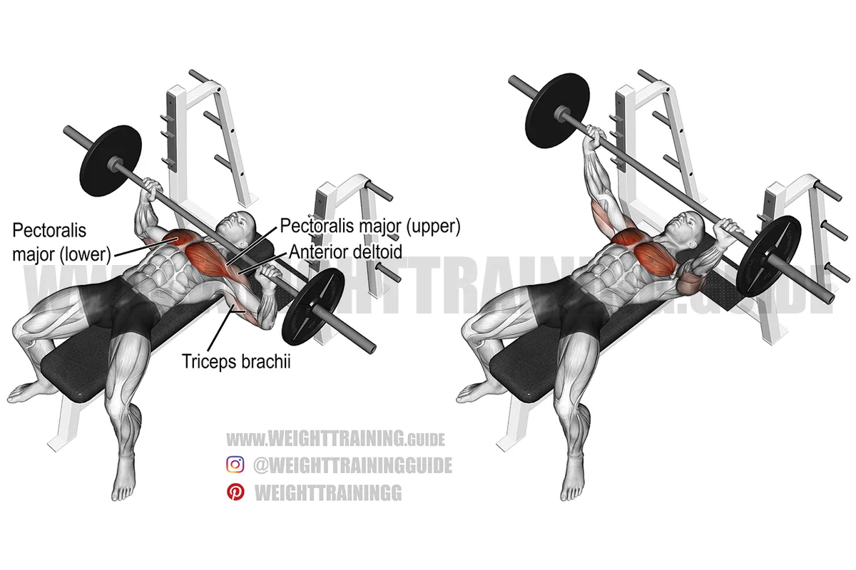 Compound Exercises