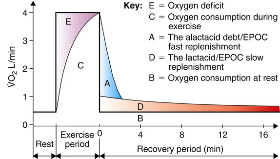 EPOC