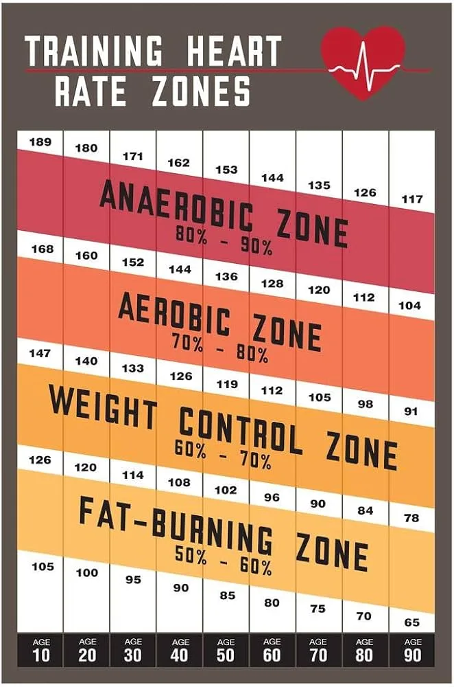 Zone 2 Training